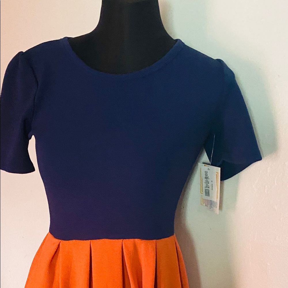Color Block Dress